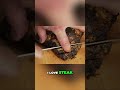 Know your steaks!!! #shorts