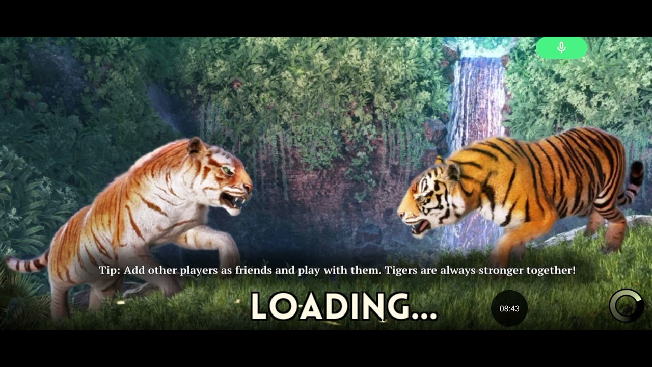 Finally 18 level in the tiger game play video YouTube
