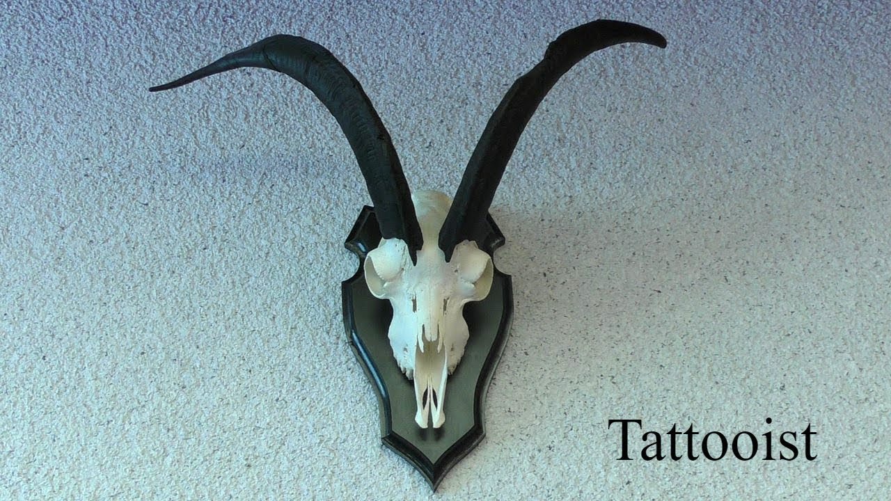 Tattooist. Tattoo studio.