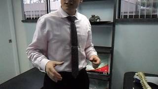 Intersegmental Traction Roller Tables Triumph Chiropractic Livonia