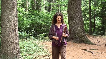 Learn to Play the Native American Style Flute with Ami Sarasvati