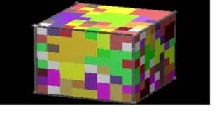 Visualization of Dynamic Load Balancing on BBN Butterfly (1994) Wealth