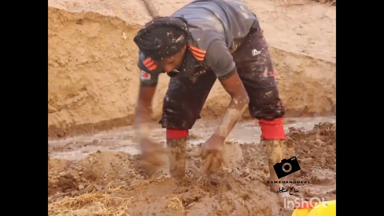 من شبوة / الصعيد هكذا يتم ترميم البيوت الطين من هنا تراث الاجداد ومن الماضي القديم زوامل تذكرك ماضي