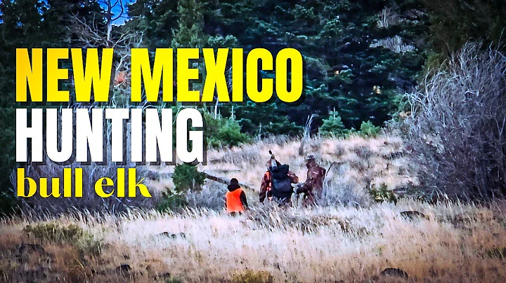 Chasing Elk in Rugged New Mexico Mountains | The Ultimate Father-Son Adventure