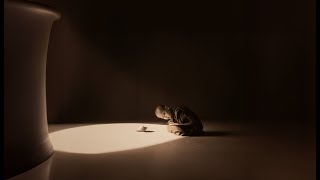 Download Lagu Nok - Qesîdeyek Ji Bo Bîra MP3