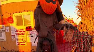 Taking my Daughter to the pumpkin patch 