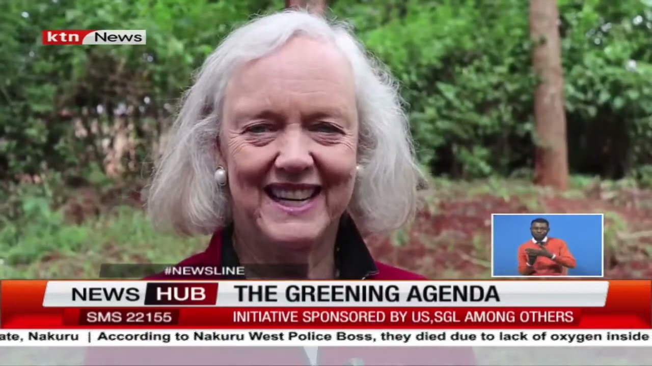 The greening agenda: US envoy pledges support to Kenya's plan