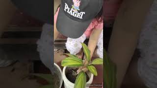 Planting Time! (Performance Task in Day Care Center PH)