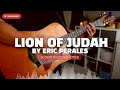 Acoustic Guitar Cover | Lion of Judah By Eric Perales