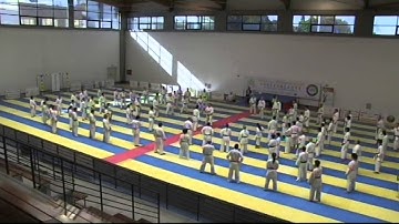 Yamada-ha Shito-ryu Shukokai Union - Promo video