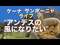 アンデスの風になりまたいい・ケーナ・サンポーニャQuiero ser como el viento de los andes