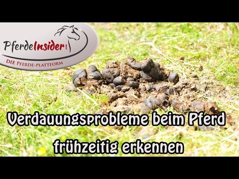 Video: Durchfallverursachende Bakterielle Erkrankung Bei Pferden