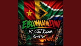 EBUMNANDINI (feat. SOWETOX2)