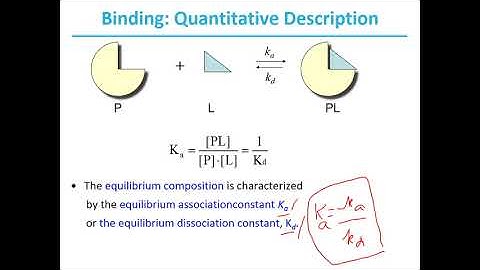 Chapter-5-Protein Function-Part-1