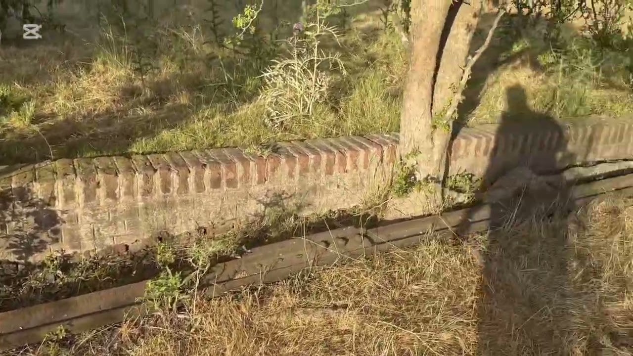Estacion Esquina Negra Ferrocarril General Compañía Ramal G3 Décimo Cuarto Capítulo 