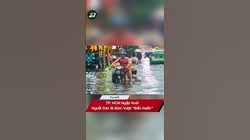 TP. HCM Ngập Hoài, Người Dân Bì Bõm Vượt “Biển Nước”