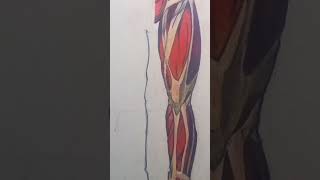 I Drew Armin’s COLOSSAL TITAN 🔥 part 1.#aot #collosaltitan #anime I Drew Armin’s COLOSSAL TITAN 🔥 part 1.#aot #collosaltitan #anime