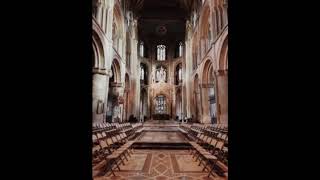 Download Lagu post malone - congratulations (acapella + cathedral) Download Lagu post malone - congratulations (acapella + cathedral)