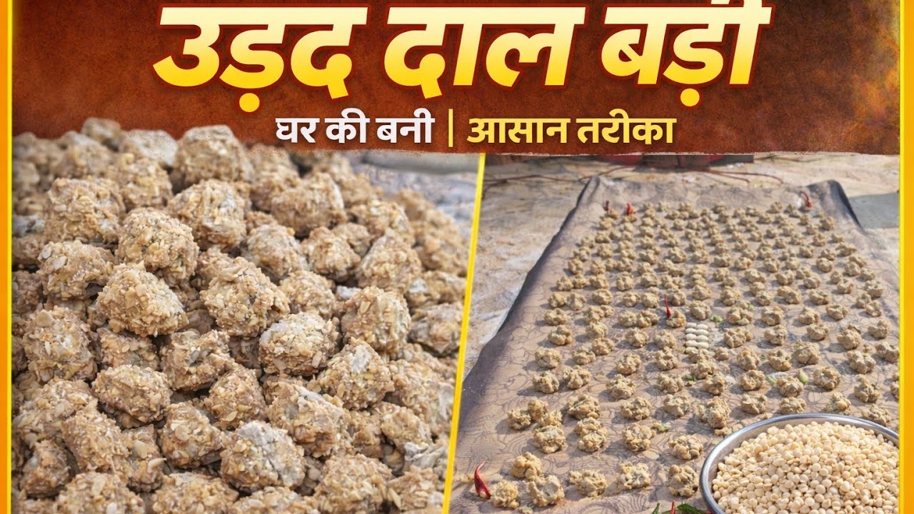 उड़द दाल बड़ी (कोहडौड़ी) बनाने का सही तरीका | Crispy Urad Dal Vadi Recipe | Winter Special 