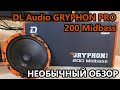 DL Audio Gryphon Pro 200 Midbass. Необычный обзор