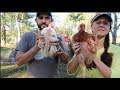 The Freedom Rangers Surprised Us!  Freedom Ranger vs. Cornish Cross Meat Chickens...Just the FACTS!!