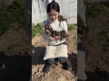 This Baby Squirrel Follows Me Everywhere 🐿️❤️ So Loyal &amp; Smart! #smartpets #squrrel #shorts