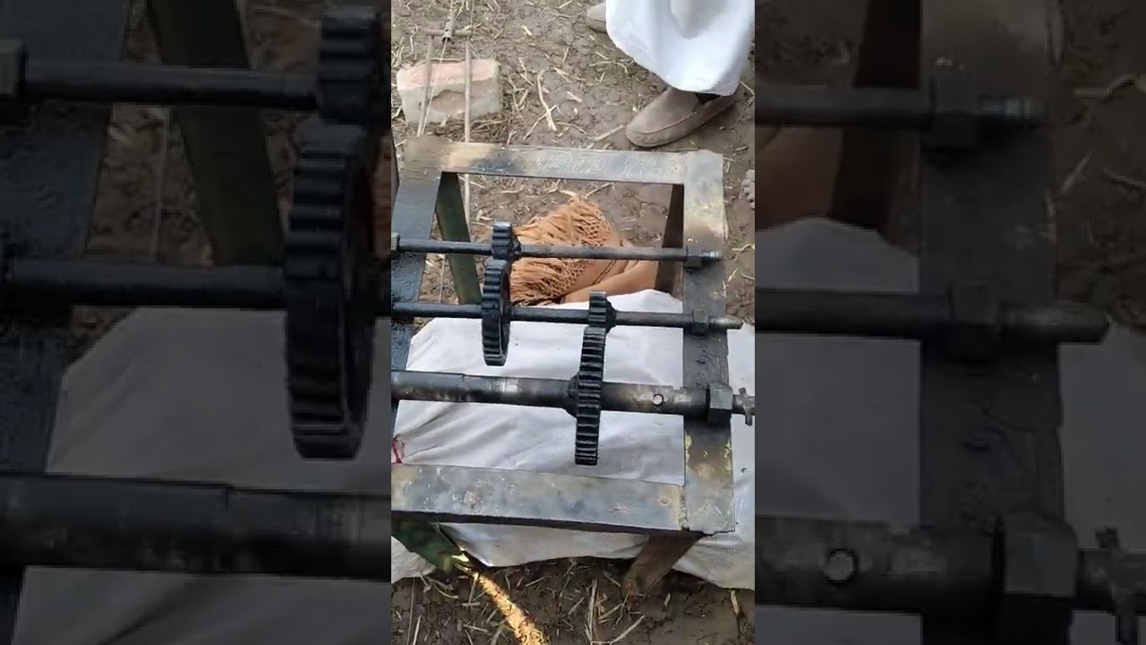 Dogs 🐶🐕 Race With Machine Home 🏡 Experiment