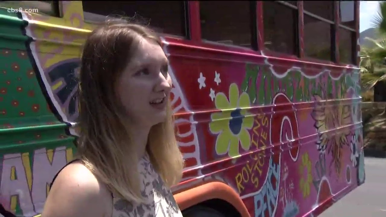 Caiden's Daisy: Hippie bus cruising North County San Diego