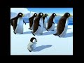 Pigloo - Papa pingouin- YourKidTV