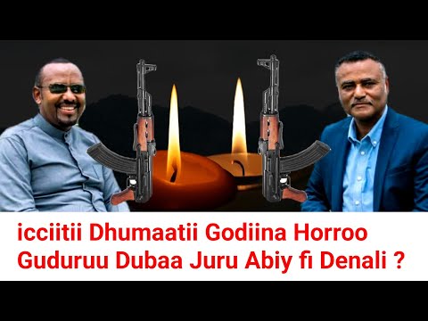 ODUU Hatattamaa Dhumaatii Godiina Horroo Guduruu Maltu Tahe Moha Oromo