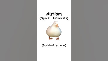 Autism special interests (explained by ducks)
