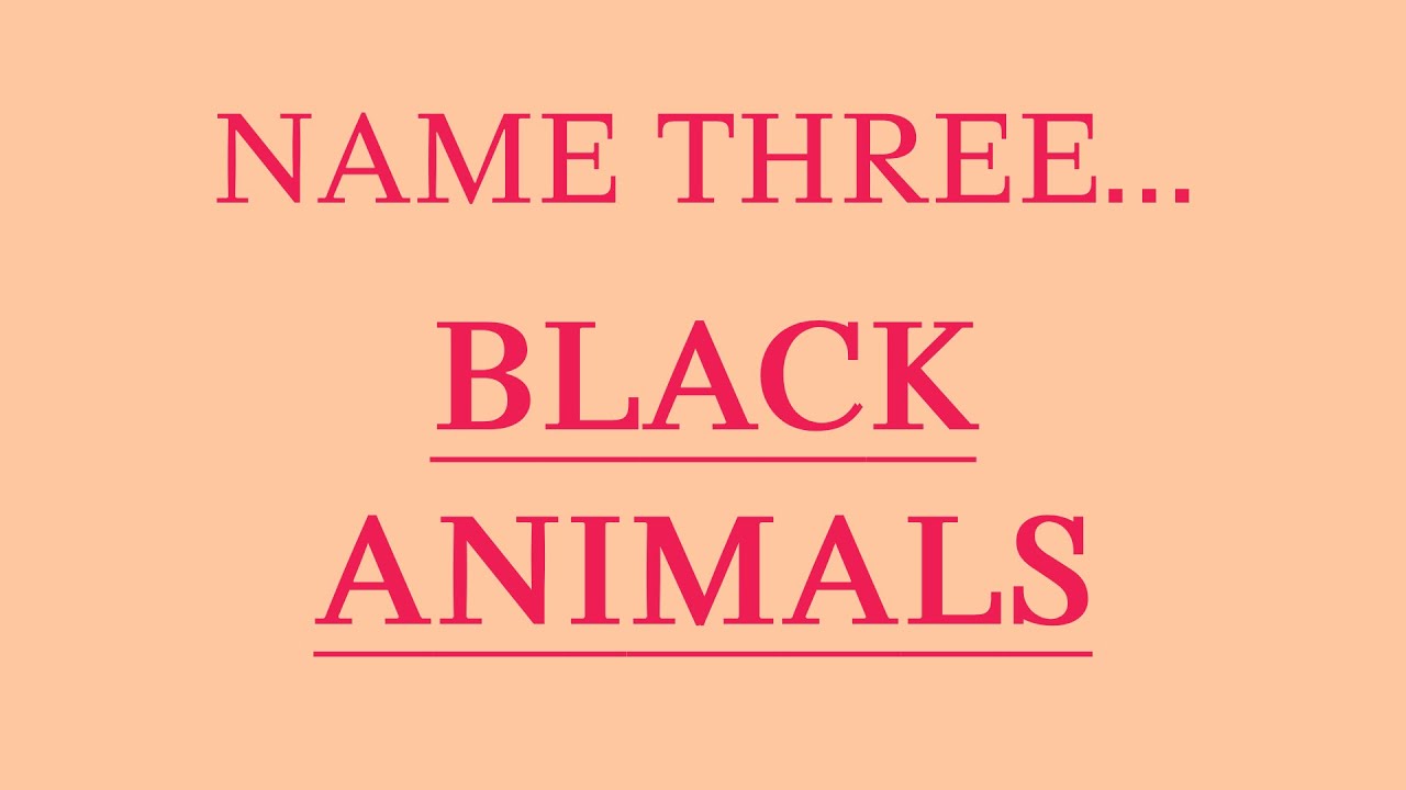 WORD ASSOCIATION ⏱️ 📝 NAME 3 THINGS... | Scattergories Word Game