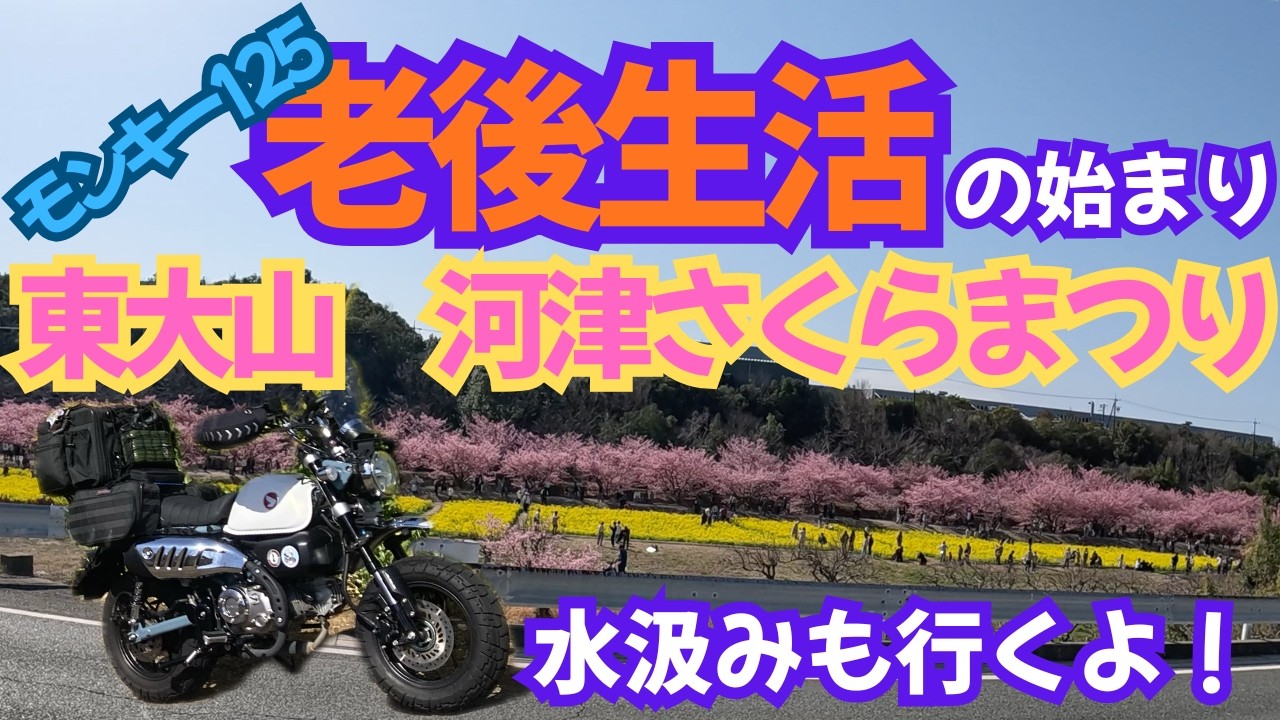 【モンキー125】で【東大山　河津さくらまつり】に行ってきました【老後生活の話】【でんでんころの桜】いつもの水汲み【龍清水】【2026.3.1】