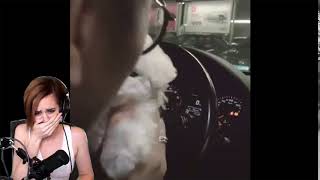 cutest fucking thing