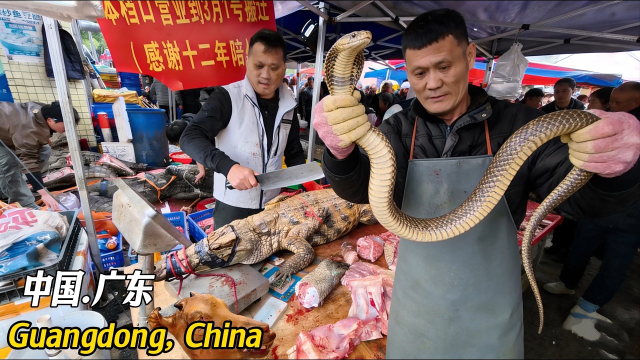 Let me show you the food on a Chinese dining table.中國罕見,疯狂市场,黑暗料理,大砍鱷魚 ...