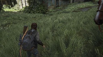 The Last of Us Part II map bug