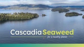 About Cascadia Seaweed