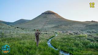 Fly Fishing a Creek So Small it Shouldn't Exist... (Camping and Trout Fishing)