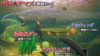 弱肉強食の大沼地にてあらゆる強者に勝ち続け"王"を目指すゲームが最高に面白かったｗｗｗｗ【Feed and Grow Fish】実況プレイ