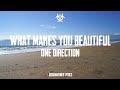 One Direction - What Makes You Beautiful (Lyrics)[HD]