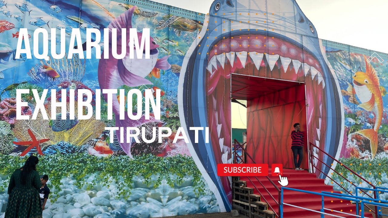 Aquarium Exhibition Tirupati Aquarium Tunnel Fishes Fish