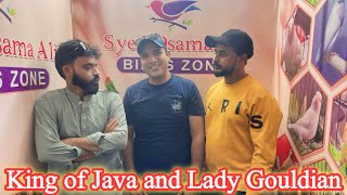 King of Java & Gouldian Syed Osama Ali | Beautiful Colourful Birds & Red Paid Dove Setup @SYEDBIRDS