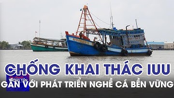 Chống khai thác IUU gắn với phát triển nghề cá bền vững | Tin nhanh Thông tấn