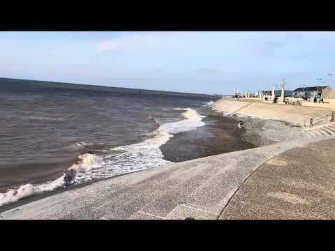 Can’t stop watching them#beachlife#beautiful
