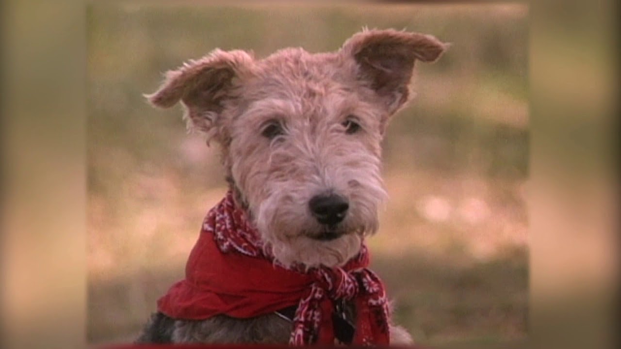 Grandpa Can We Go Fishing