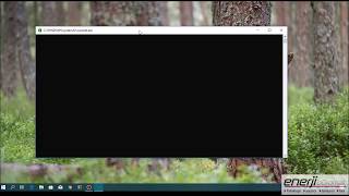 Очистите кеш Магазина Windows с помощью WSReset.exe / очистите все хранилище Windows