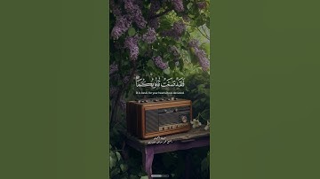 الشيخ محمد صديق المنشاوي سوره التحريم