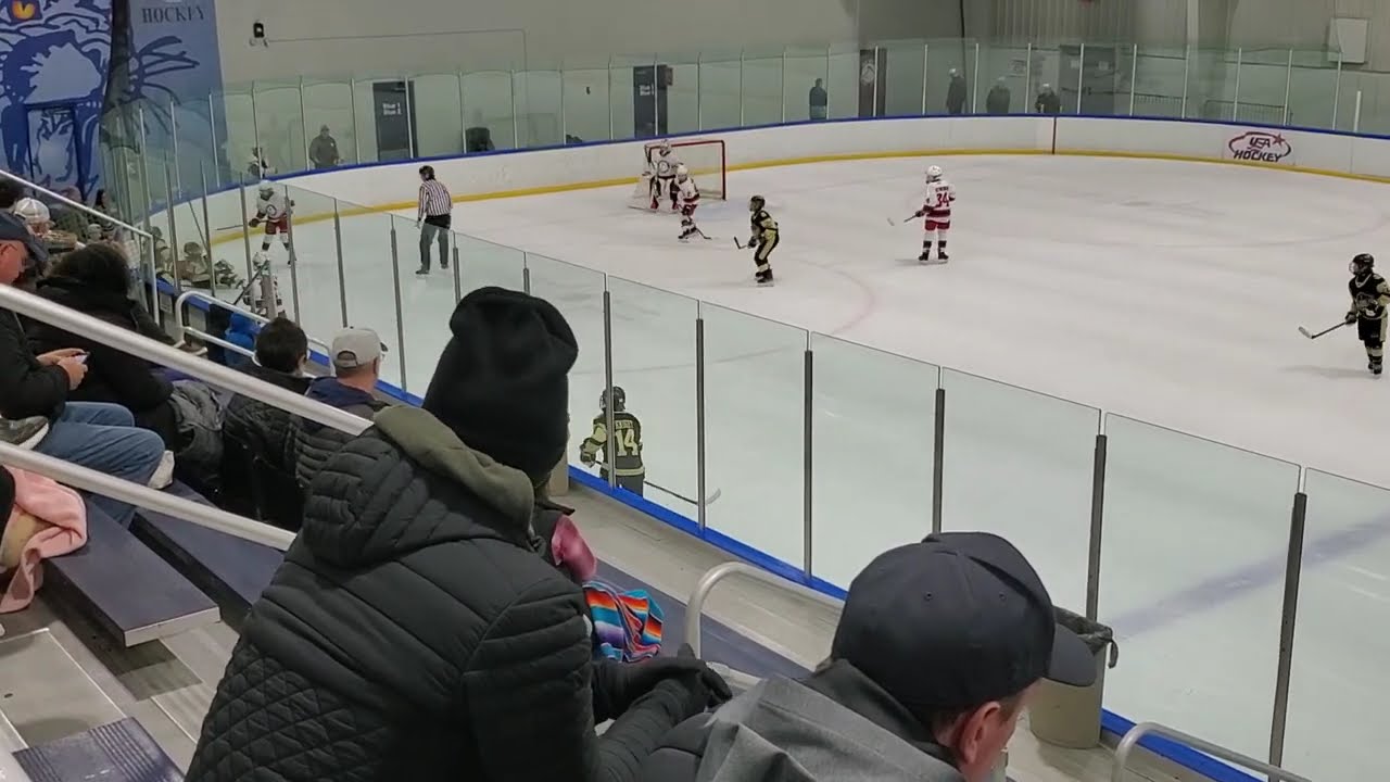 Fox PeeWee Minor AAA v. Oakland Jr. Grizzlies 3rd Period 11/9/24