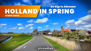 Dutch Polder Drive 🇳🇱 North Holland in Springtime 🌷