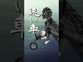 速い車